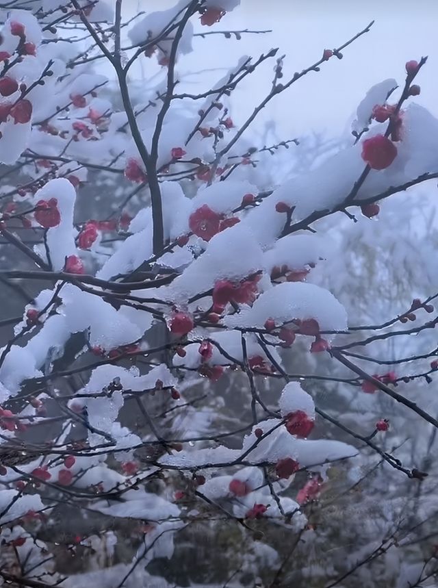 徑山寺