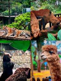 野生動物園邂逅生態精靈