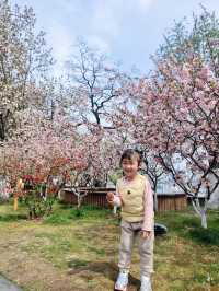 南京這個免費公園才是春日賞花天花板吧！