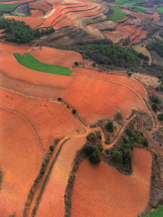 Yunnan Kunming—Dongchuan Red Land: A Breathtaking Journey from the Memories of Old Friends
