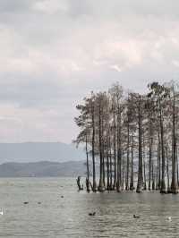 雲南大理-麗江-洱海6日遊 超詳細攻略來啦別錯過