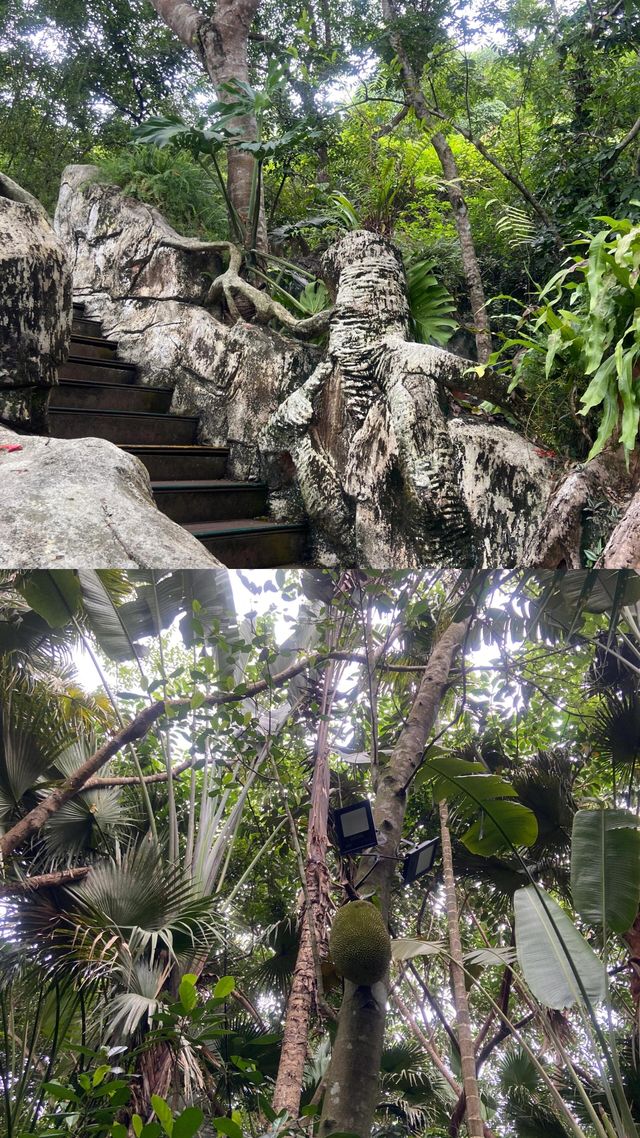 呀諾達熱帶雨林超有趣旅遊攻略