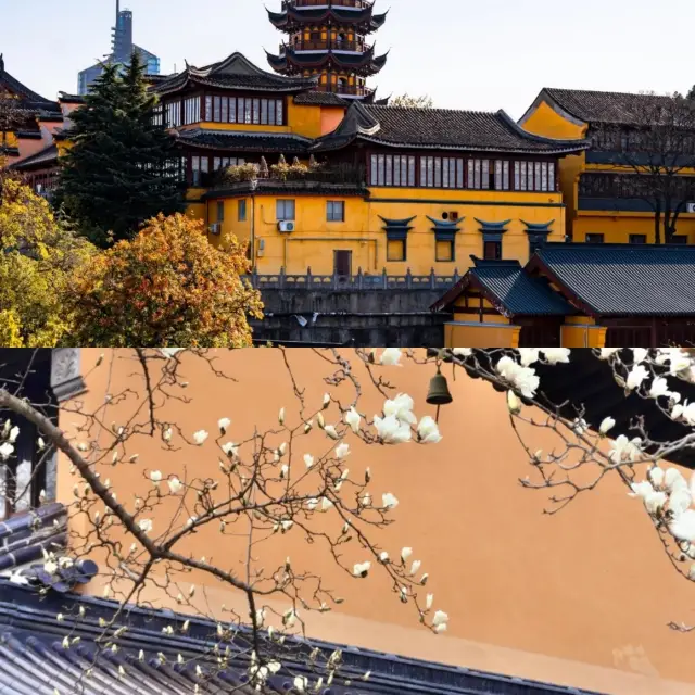 A Must-Read Nanjing Travel Guide to Avoid Tourist Traps!