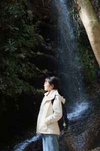 上春山·徒步︳冇俾佢虐到，但俾佢靚到