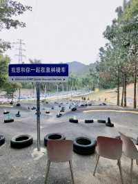 泉林中的歡樂夢境