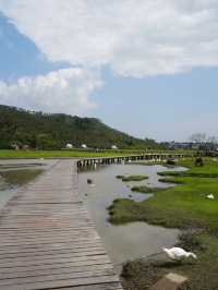 清明小長假｜陵水-萬寧5日遊 玩轉熱門風景
