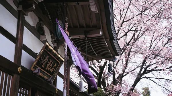 春分の日に花を楽しむ