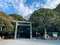 🌸Trip接送機|日本春日出遊指南·名古屋2
