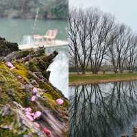 西溪濕地公園旅遊攻略