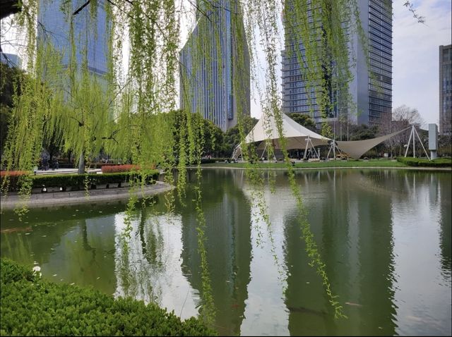 街頭翻新花樣，影到一張超靚嘅明珠盆景🪴相