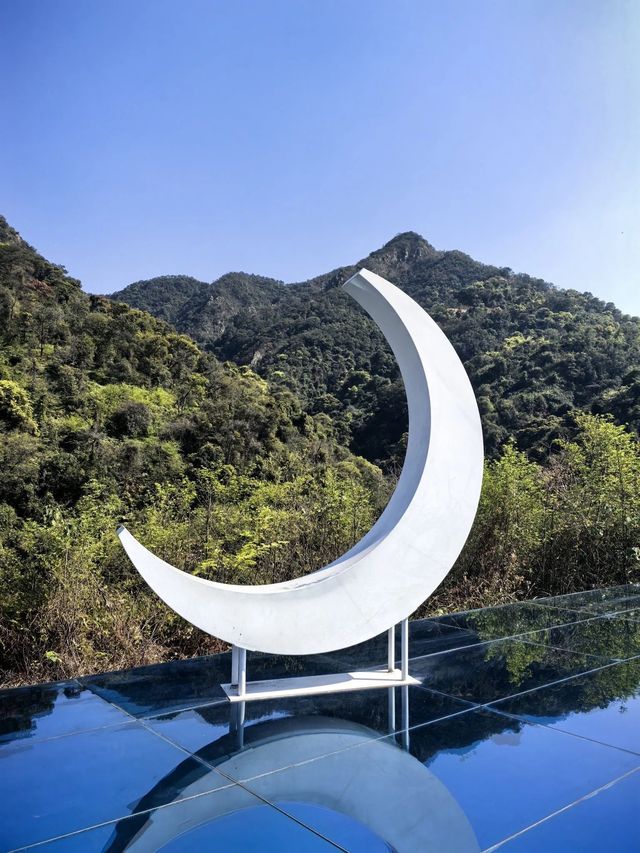 森林王國