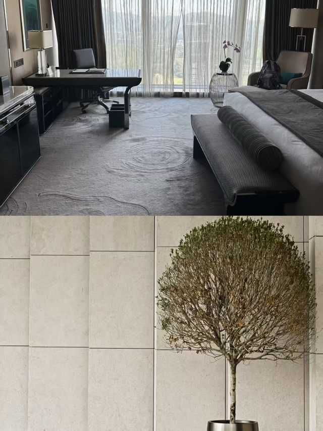 深圳瑞吉｜未如理想的深圳之巔