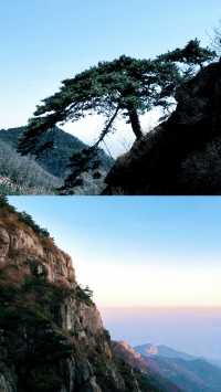 乜嘢？你想睇雲海？