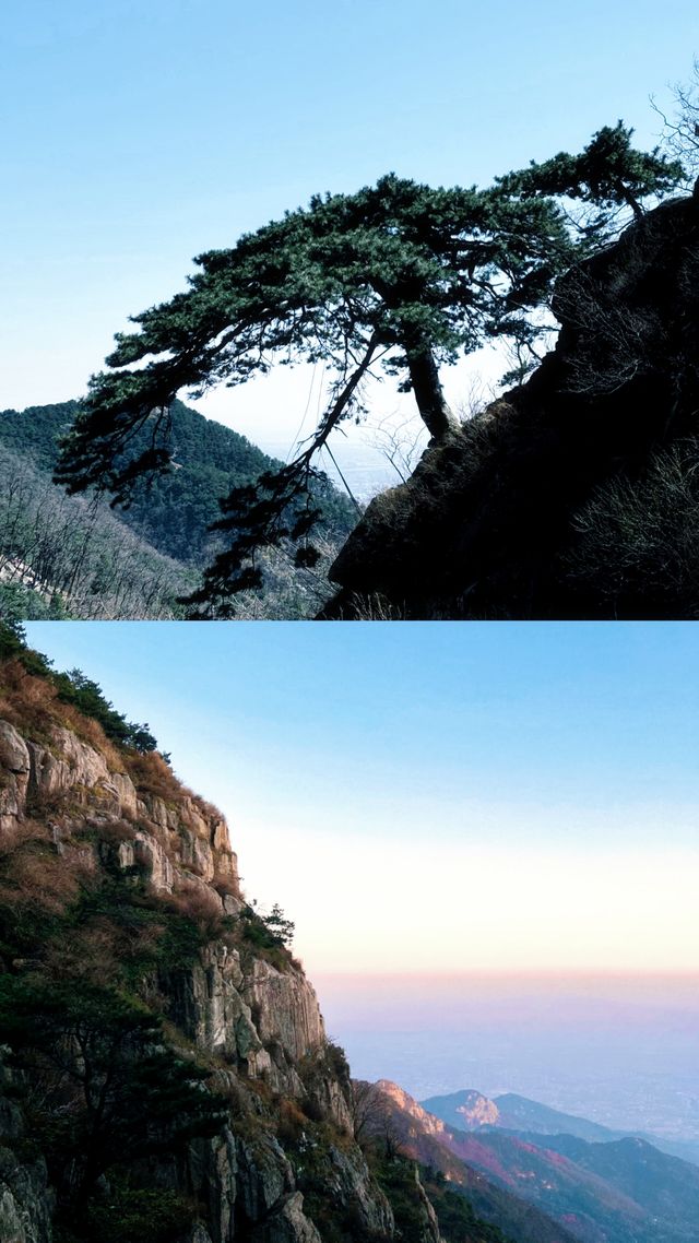 乜嘢？你想睇雲海？