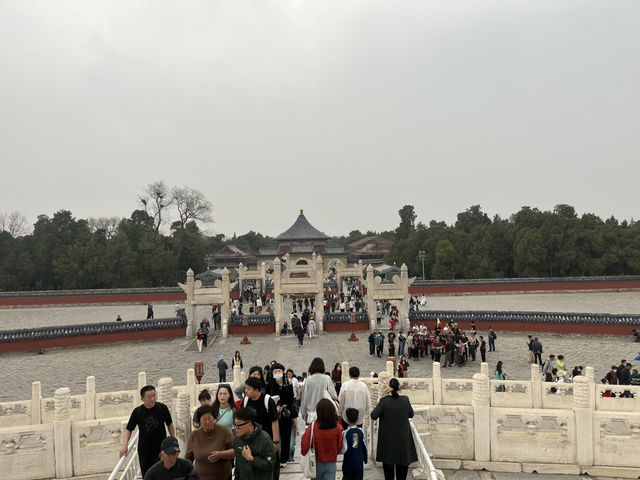 Magical Morning at the Temple of Heaven
