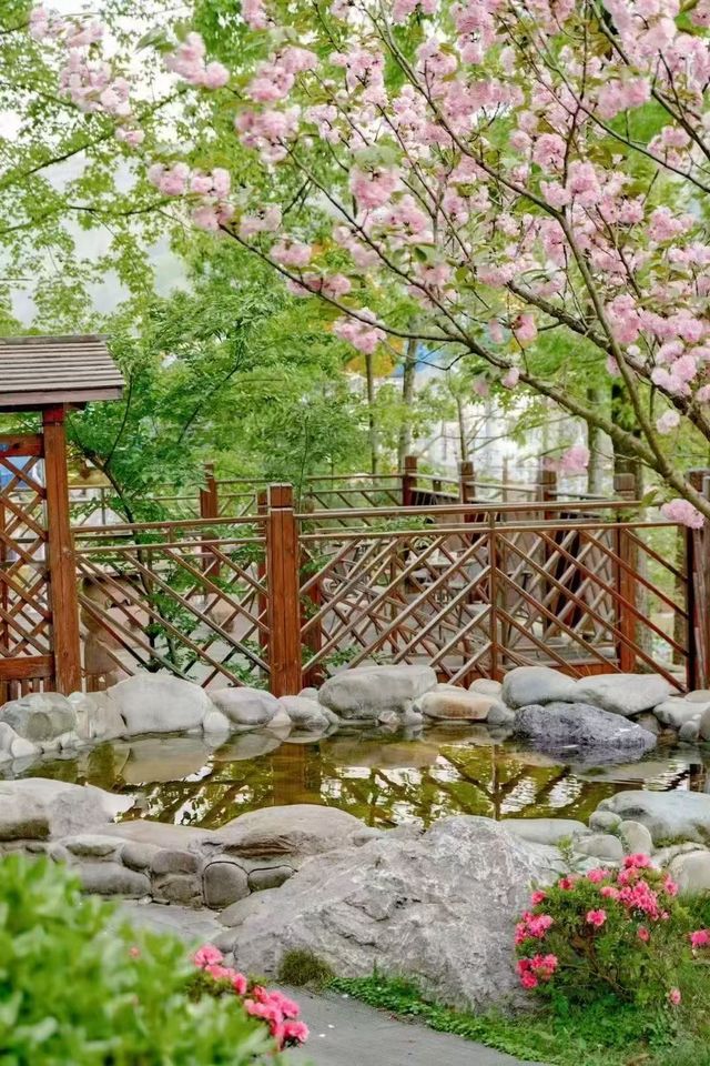 在貴州，有一種春和景明叫石阡溫泉
