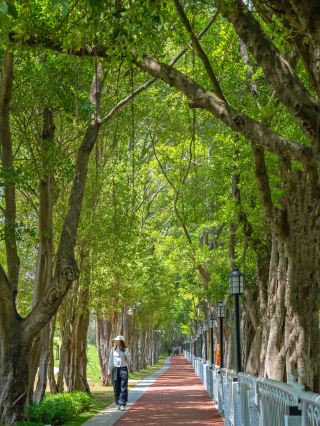Discover This Beautiful Hidden Hiking Trail in Guangzhou with Few Tourists