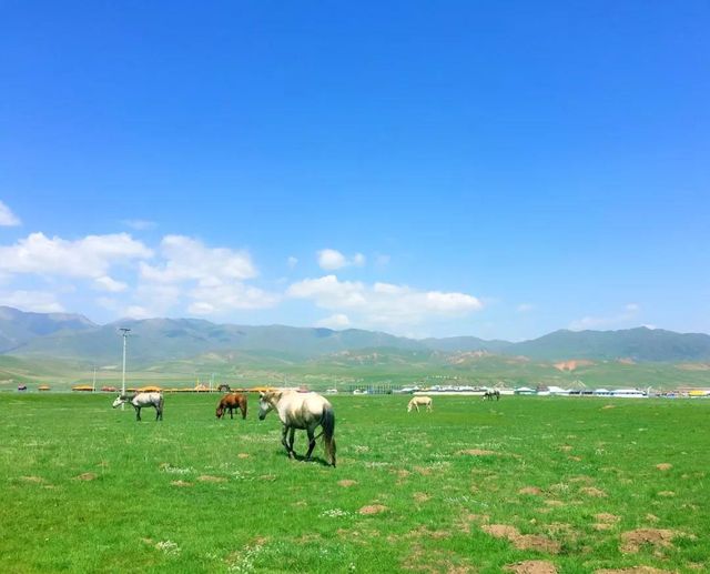 甘南旅遊全攻略，帶你邂逅人間淨土