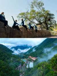 茶香漫城|安溪五一文旅活動全攻略！