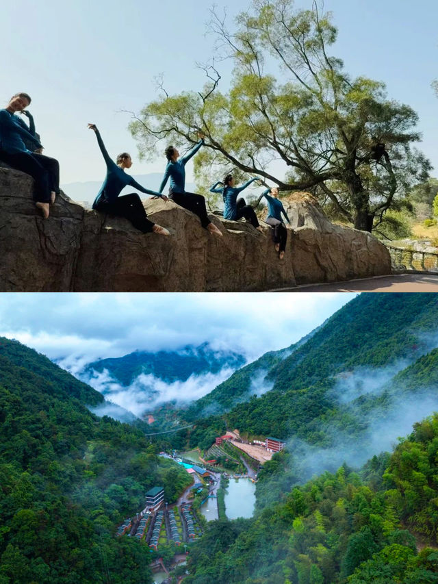 茶香漫城|安溪五一文旅活動全攻略！