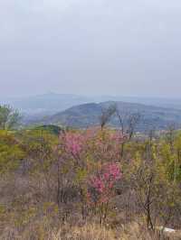 老幼皆宜鄭州40min找到的小眾免費爬山