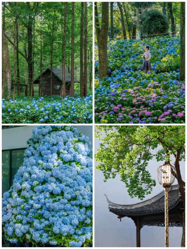 南京2日深度遊｜青山漁村·珍珠泉的山水田園詩