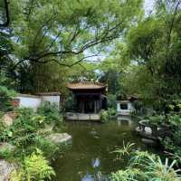 廣州越秀公園 | 藏在市中心的千年時光與自然詩意🌳