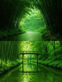 救命蘇州居然藏咗個免費小九寨溝居然可以坐船穿越森林