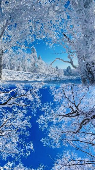 Dog Bear Ridge - Snow Village | Accidentally stepped into a fairy tale world
