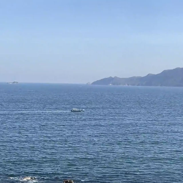 香港塔門島深度遊｜邂逅海上世外桃源🌊