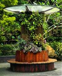 一齊去公園行下·深圳仙湖植物園！