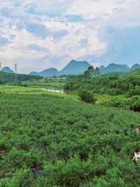 南寧周邊自駕｜逃離城市，去馬山品別樣假日