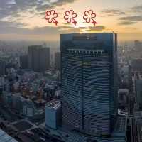 住得好舒服嘅東京寶格麗酒店