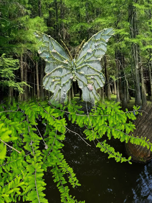 青山湖嘅抹茶綠森林免費入園攻略，話走就走