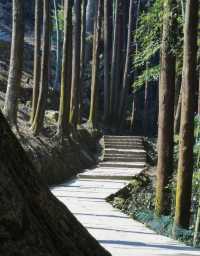 # 峨眉山旅遊超強攻略,一篇就夠!