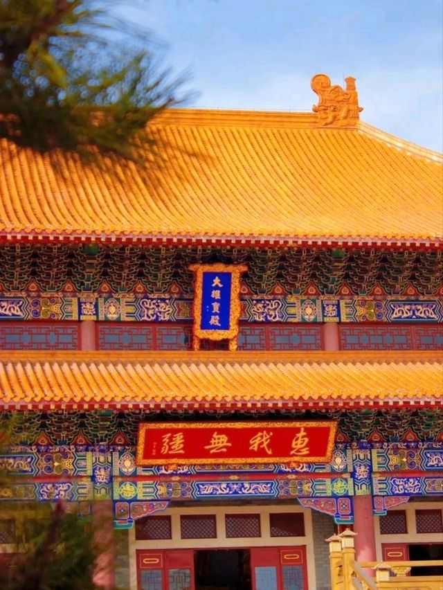 長春萬壽寺︳端午粽情祈福