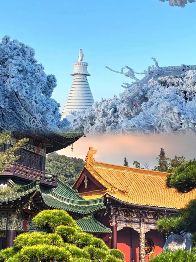 為咗記錄廬山嘅四季，我專登去咗四次