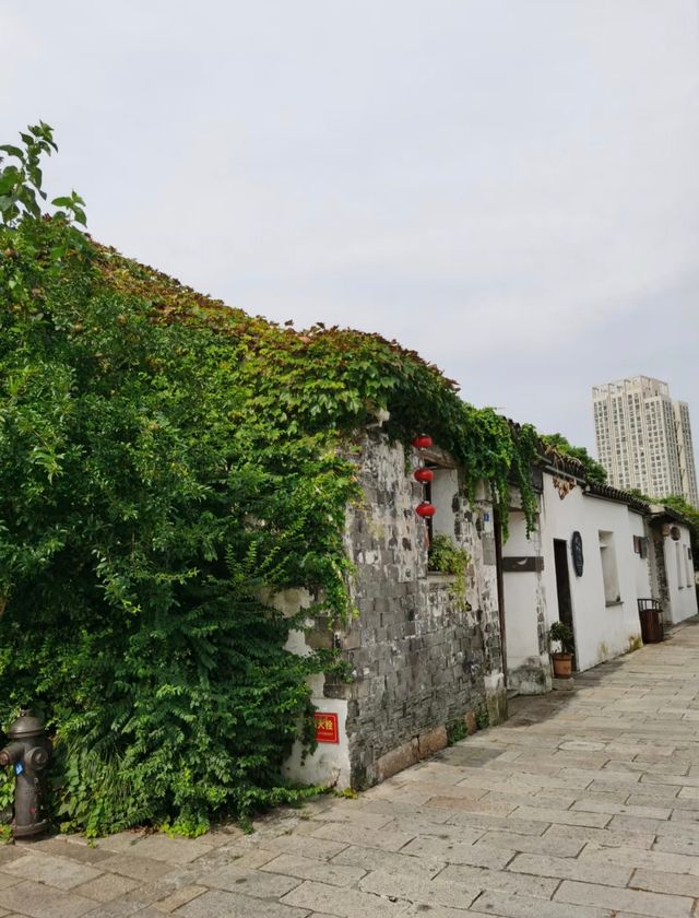 青磚黛瓦浸透時光，藤蔓垂落搖碎光影