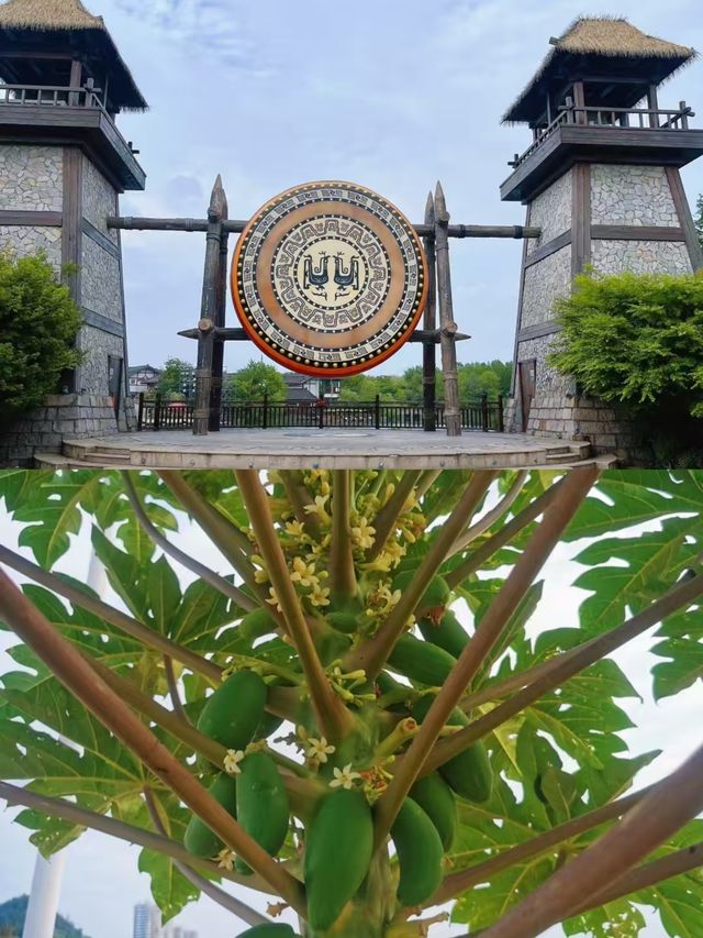 東方已回，真唔建議6月去。