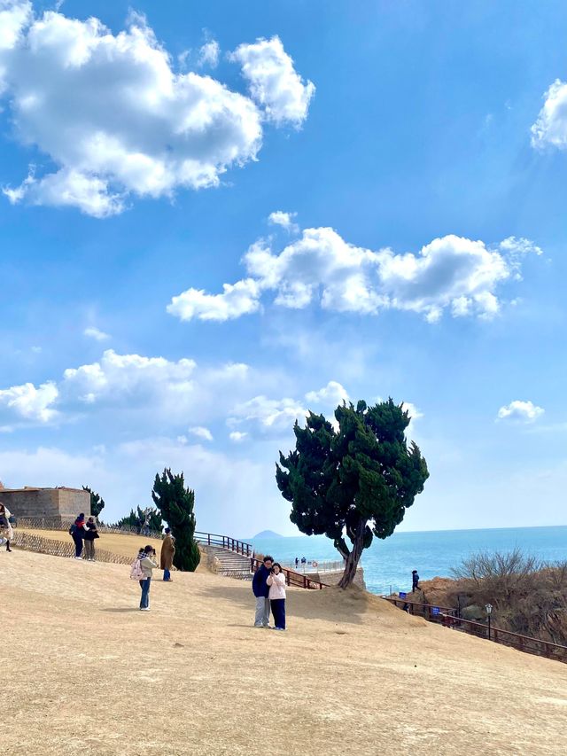 青島小麥島 1 小時打卡攻略地點與交通