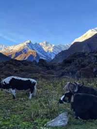 反向旅遊真係太正啦，呢度被嚴重低估