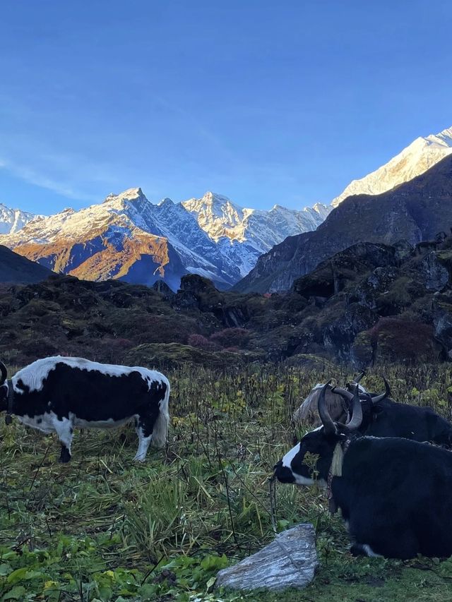 反向旅遊真係太正啦，呢度被嚴重低估
