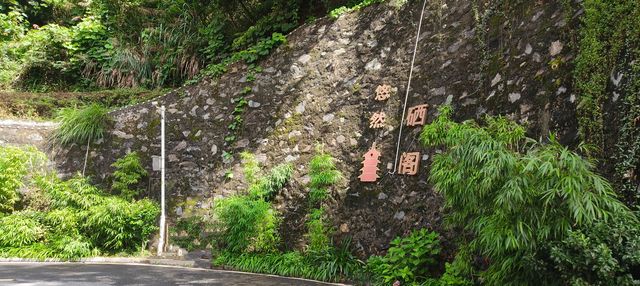 暑假逃離計劃！嚟江西宜春溫湯鎮，解鎖治癒之旅