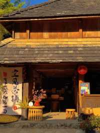 唔係凡人過嘅日子，係神仙先有嘅享受