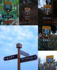 雲霧仙蹤，心願之旅，呢份攻略一定要mark低