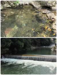 浙江小眾秘境！夏天20℃嘅「地下仙境」畀我搵到啦