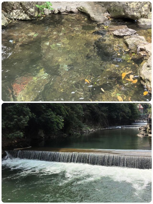 浙江小眾秘境！夏天20℃嘅「地下仙境」畀我搵到啦