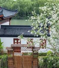 嘉興 | 住進真·天花板，雲端之上的希爾頓