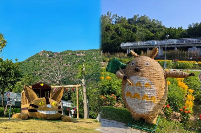 珠海竟然隱藏住一片「天空之鏡」？漫步鶴道，邂逅鷺鳥天堂