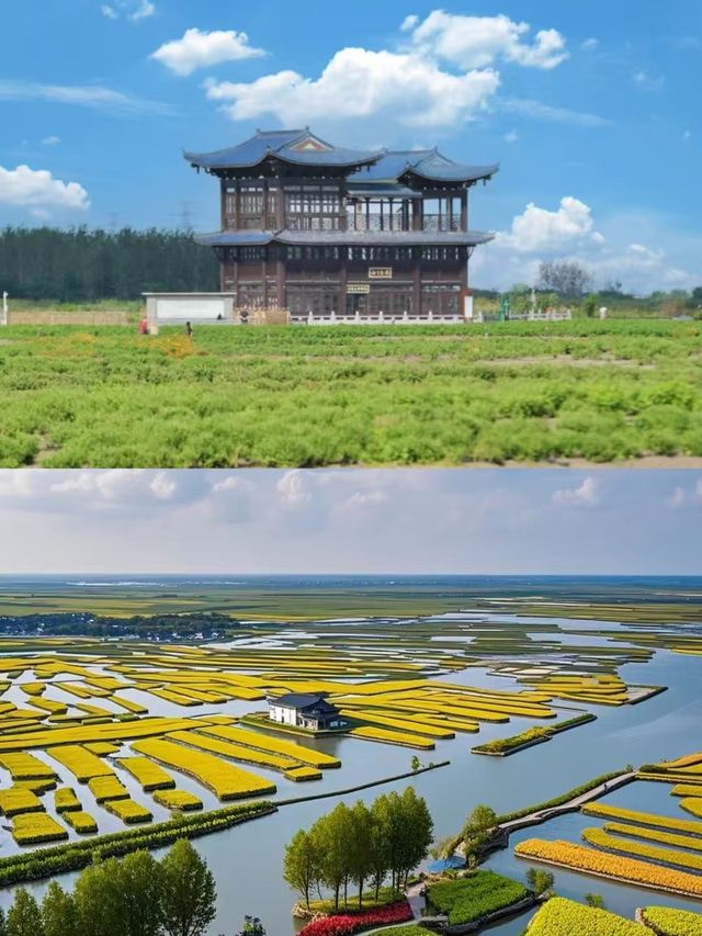 興化點樣玩，睇完就明啦。